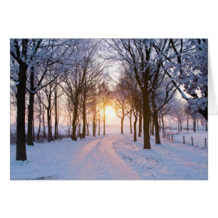 Winter Sunset