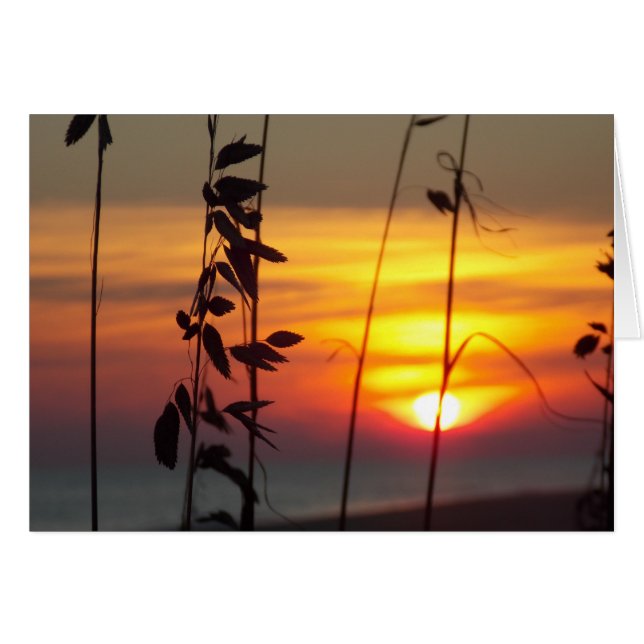 Winter Sunset (Front Horizontal)