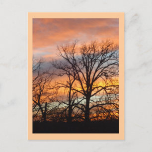 Winter Sunset 1 custom postcard