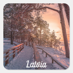 Winter sunset in pine forest near sea square sticker