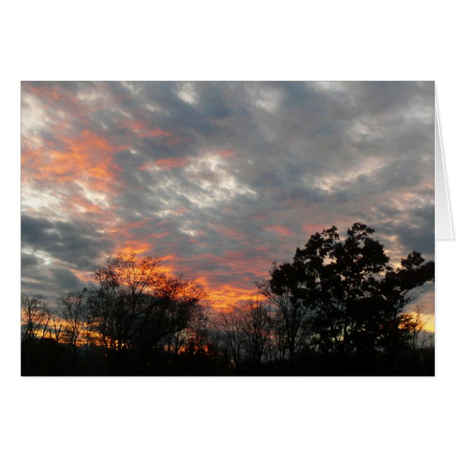 Winter Sunset Nature Landscape Photography (Front Horizontal)