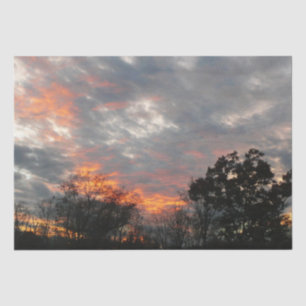 Winter Sunset Nature Landscape Photography Tissue Paper