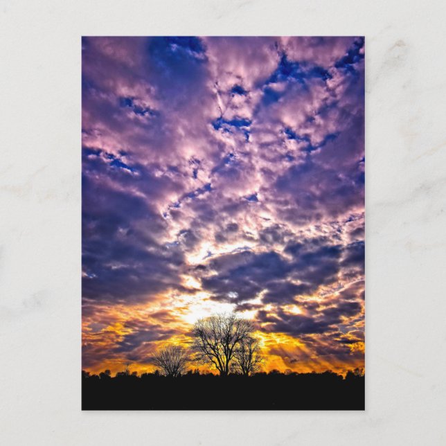 Winter Sunset Postcard (Front)