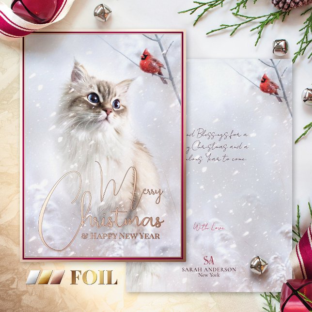 Winter Tales, Kitten & Red Cardinal Bird in Snow - (Creator Uploaded)