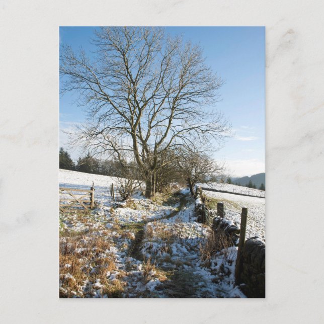 Winter The Macclesfield Forest Card (Front)
