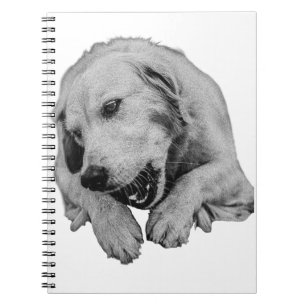Winter Thoughts With Warm Friends Notebook