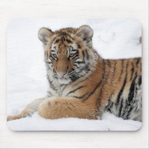 Winter Tiger Mouse Pad