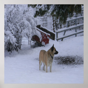 Winter Time.... Poster