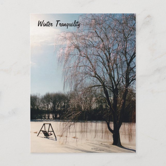 Winter Tranquillity Postcard (Front)