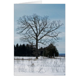 Winter Tree Card