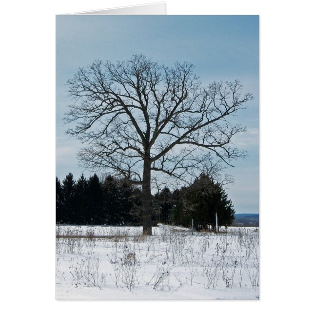Winter Tree Card (Front)