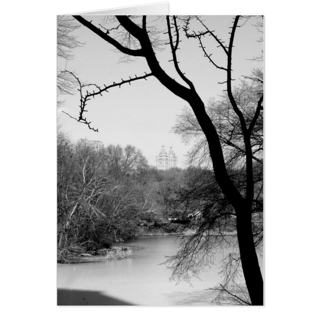 Winter Tree - Central Park NYC (Front)