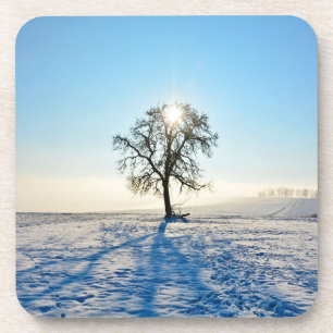 Winter Tree   -     - Coaster