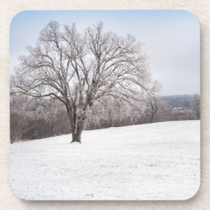 Winter Tree Coaster