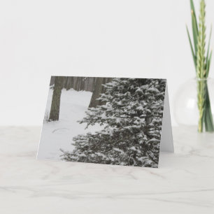 Winter Tree Holiday Card