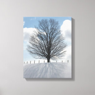 Winter Tree in Michigan Photo Canvas Art Print