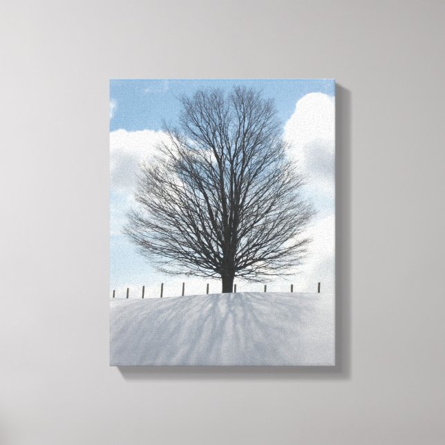 Winter Tree in Michigan Photo Canvas Art Print (Front)