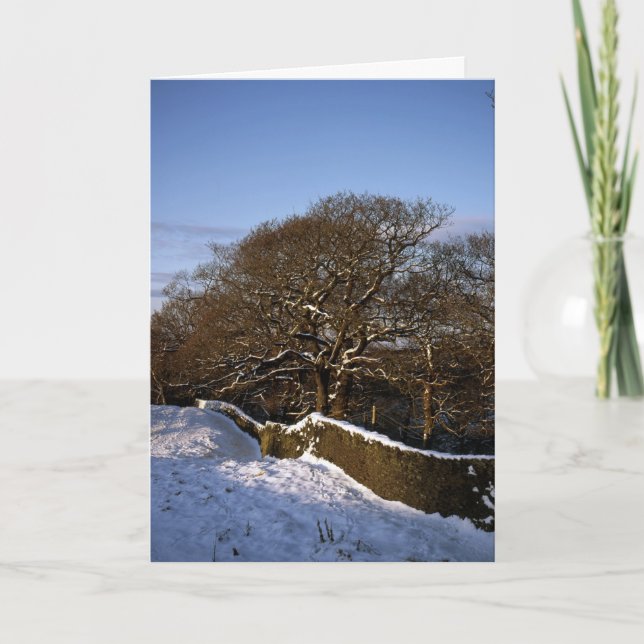 Winter Tree Lyme Handley Cheshire Holiday Card (Front)