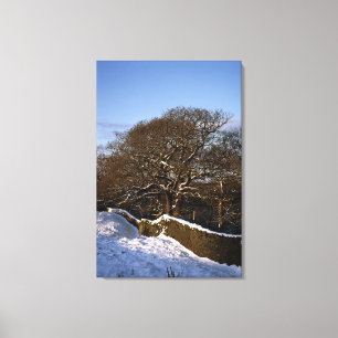 Winter Tree Lyme Handley Cheshire Holiday Card Canvas Print