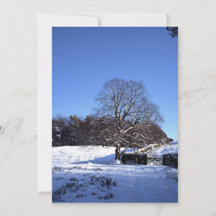 Winter Tree Lyme Park Holiday Card