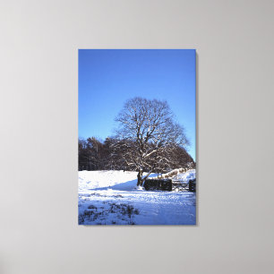 Winter Tree Lyme Park Holiday Card Canvas Print