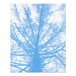 WINTER TREE PHOTO PRINT