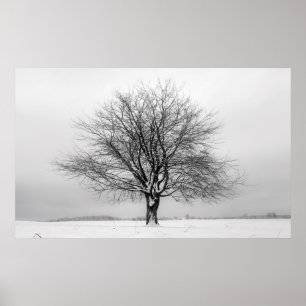 winter tree poster