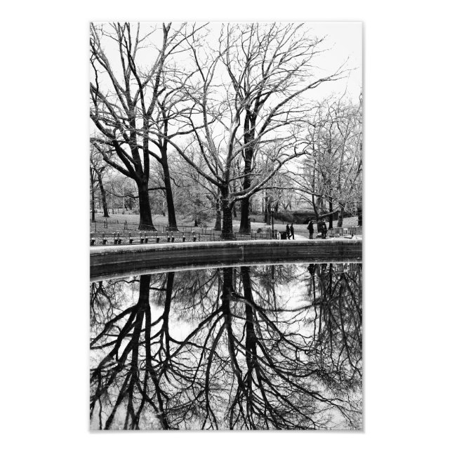 Winter Tree Reflection in Central Park Photo Print (Front)