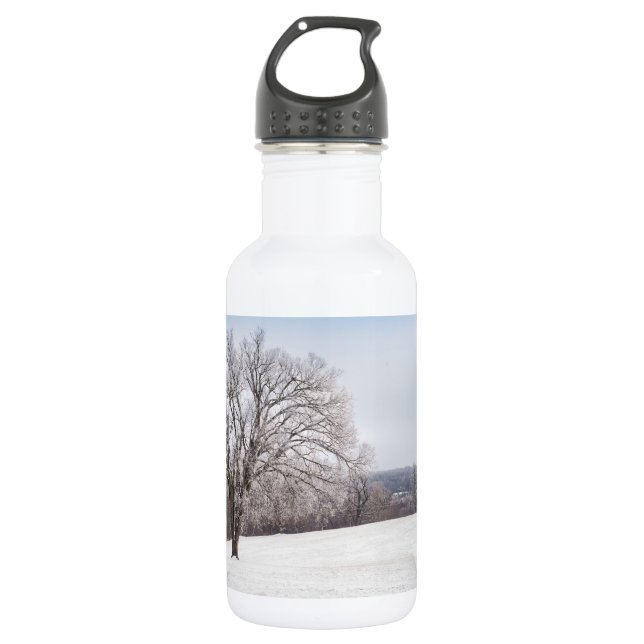 Winter Tree Stainless Steel Water Bottle (Front)