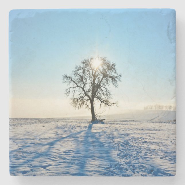 Winter Tree   -     - Stone Coaster (Front)