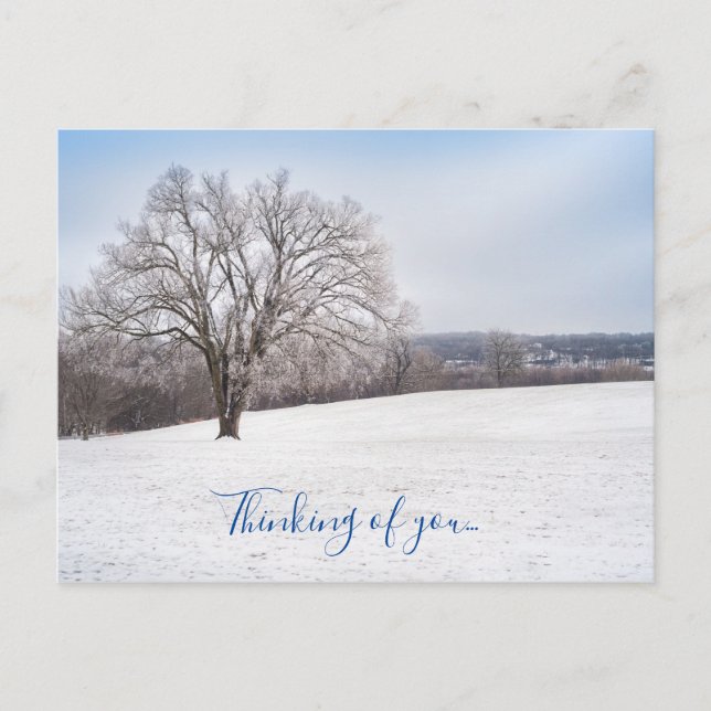 Winter Tree Thinking Of You Postcard (Front)