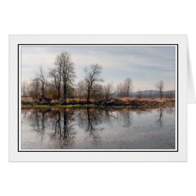Winter Trees (Front Horizontal)