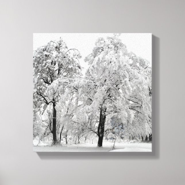 Winter Trees Canvas Print (Front)