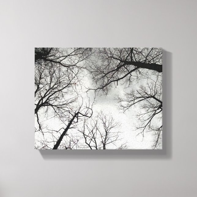 Winter Trees Cloudy Sky Canvas Print (Front)