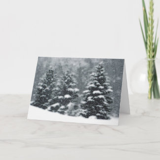 Winter Trees Holiday Card