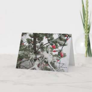 Winter Trees Laden With Snow Holiday Card
