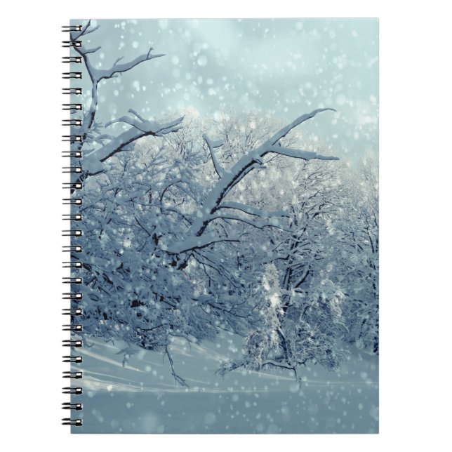 Winter Trees Landscape Notebook (Front)