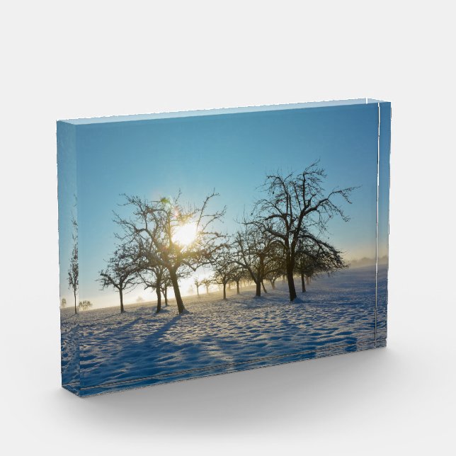 Winter Trees   -     - Photo Block (Left)