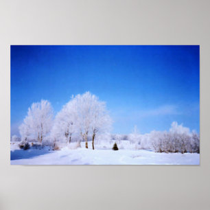 Winter Trees Poster
