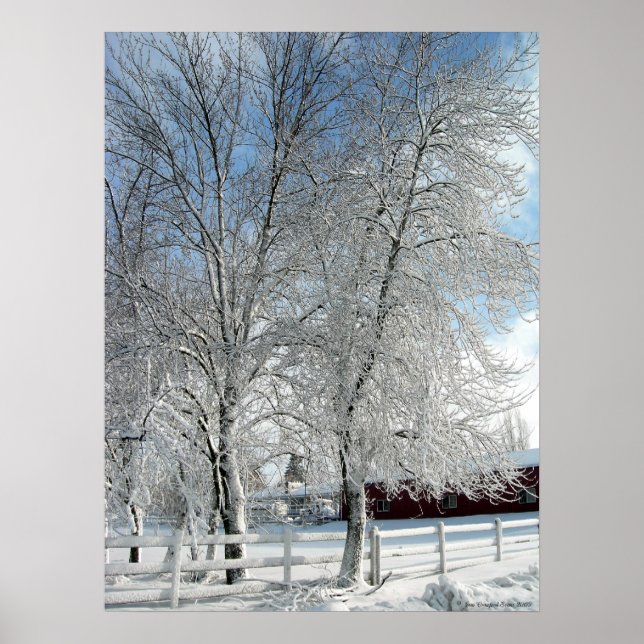 Winter trees poster (Front)