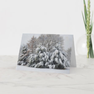 Winter Trees Snow Scene Nature Christmas Card