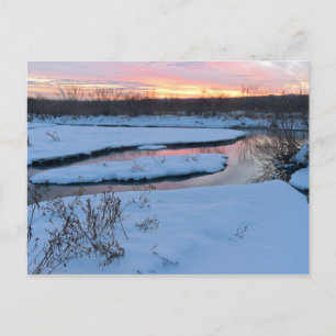 Winter Twilight at Wildlife Refuge Postcard