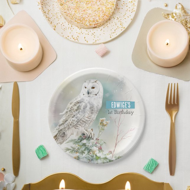 Winter vibes Owl -  Birthday Party - Paper Plate (Creator Uploaded)