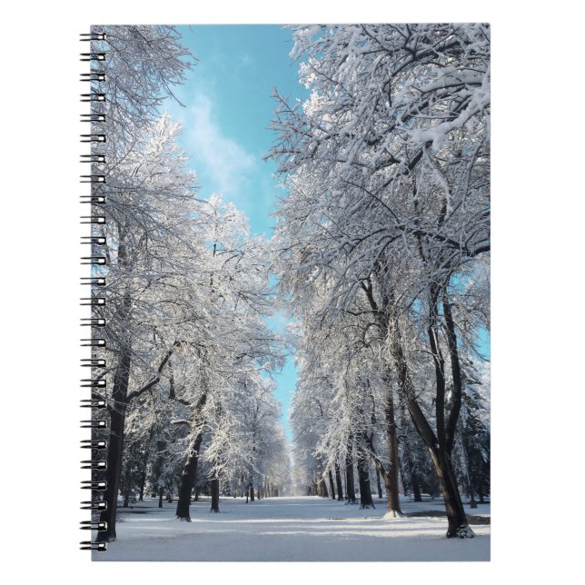 winter walk in the park notebook (Front)