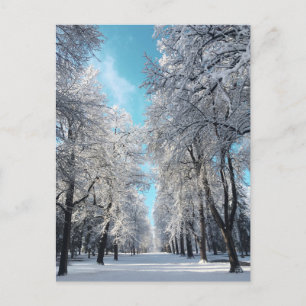 winter walk in the park postcard
