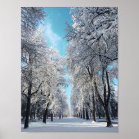winter walk in the park