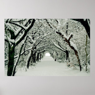 Winter Walk Poster