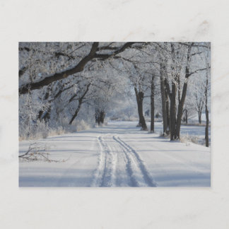 Winter Walking Trail Postcard