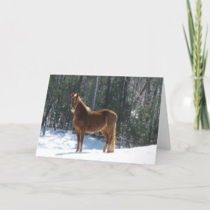 Winter Watch Card