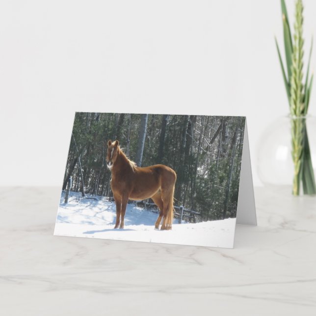 Winter Watch Card (Front)